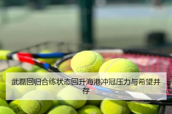 武磊回归合练状态回升海港冲冠压力与希望并存