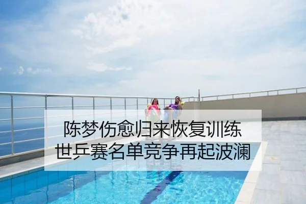 陈梦伤愈归来恢复训练 世乒赛名单竞争再起波澜